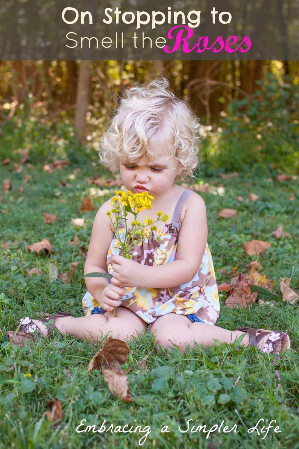 stop to smell the roses